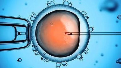 北京双胞胎二代试管婴儿哪家好:如何使用艾灸治疗卵巢