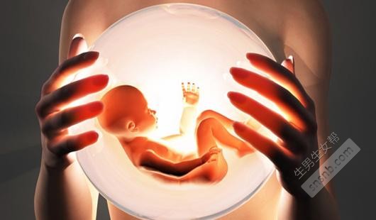 什么是试管婴儿胚胎中的细胞碎片？