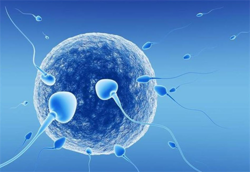 北京航空航天大学附属医院捐卵试管婴儿有什么要求，2022年捐卵试管婴儿的费用是多少？