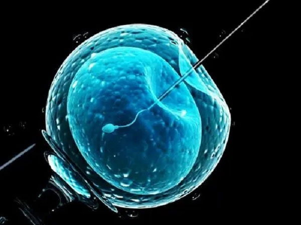 襄阳借卵试管-移植后多久知道自己怀孕并不总是可以的，而是取决于胚胎的早期着床情况