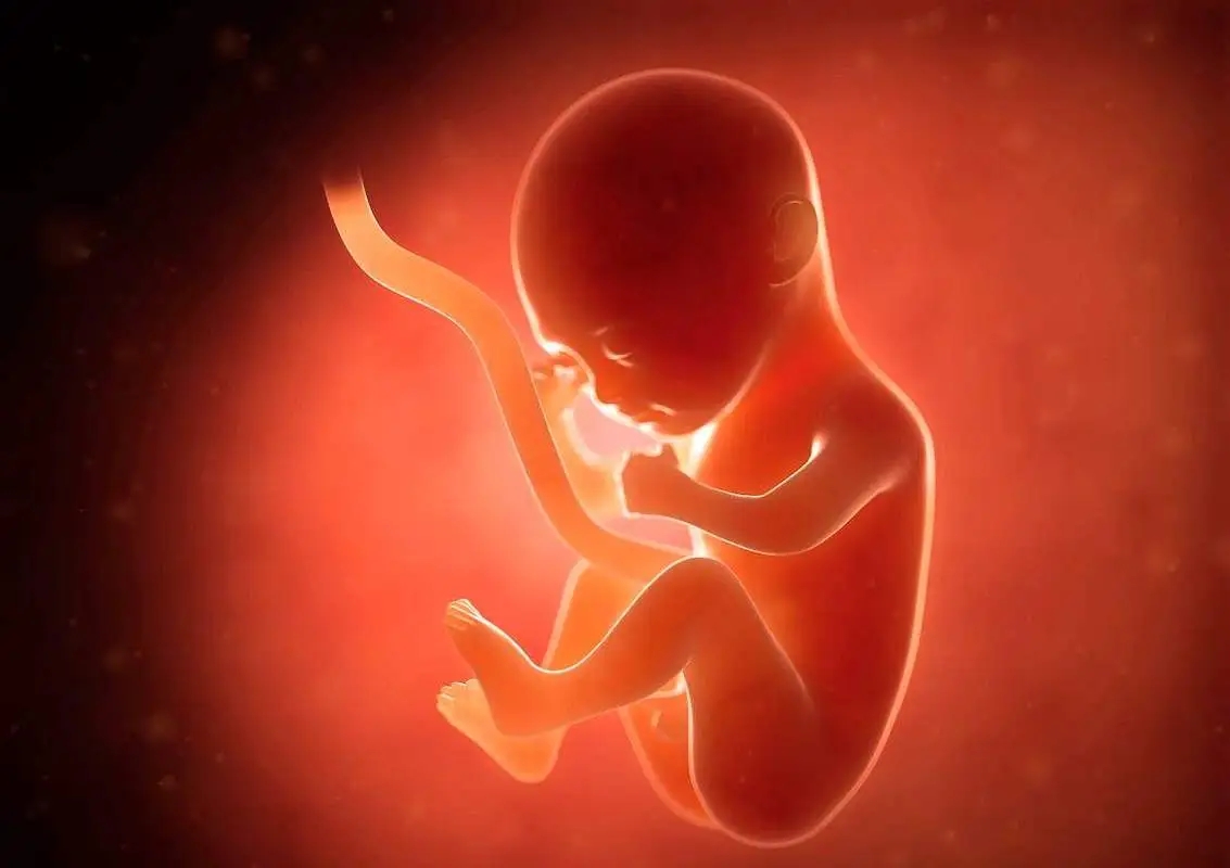 惠州助孕龙凤胎交流群：怀孕初期的愤怒会导致胎儿畸形和流产吗？
